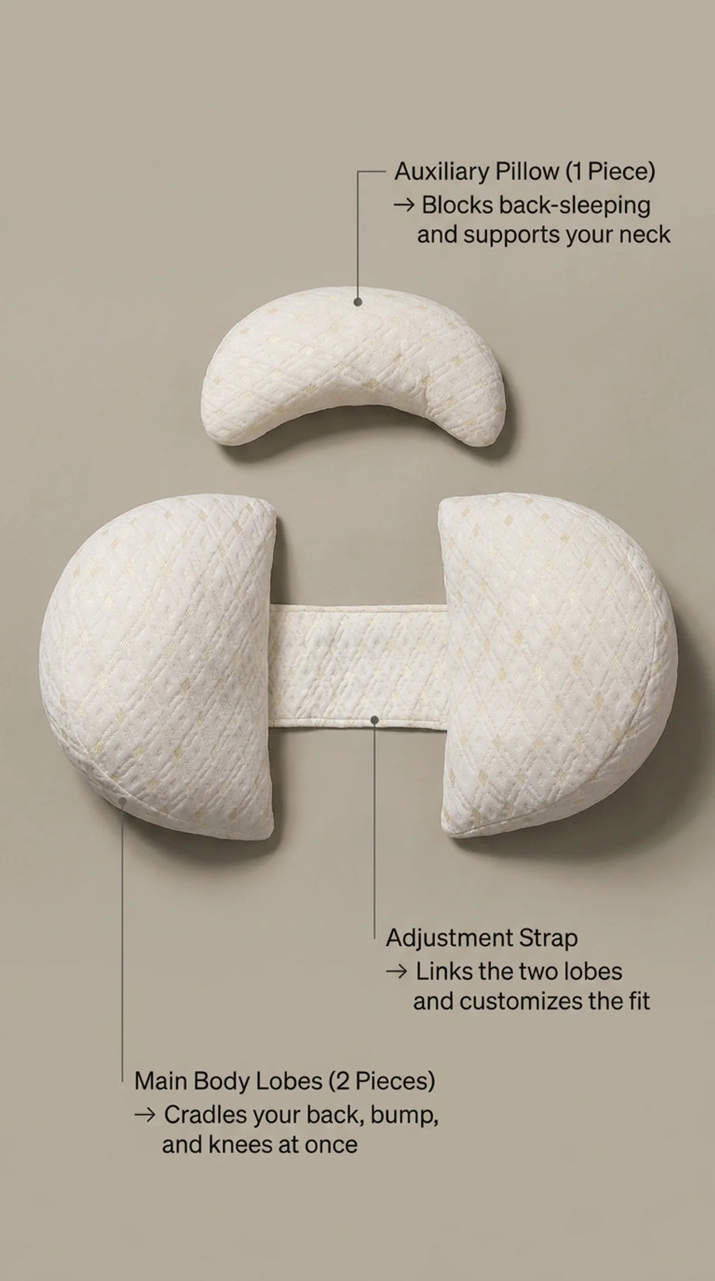 Nightbloom Compacted U-Shaped Pillow