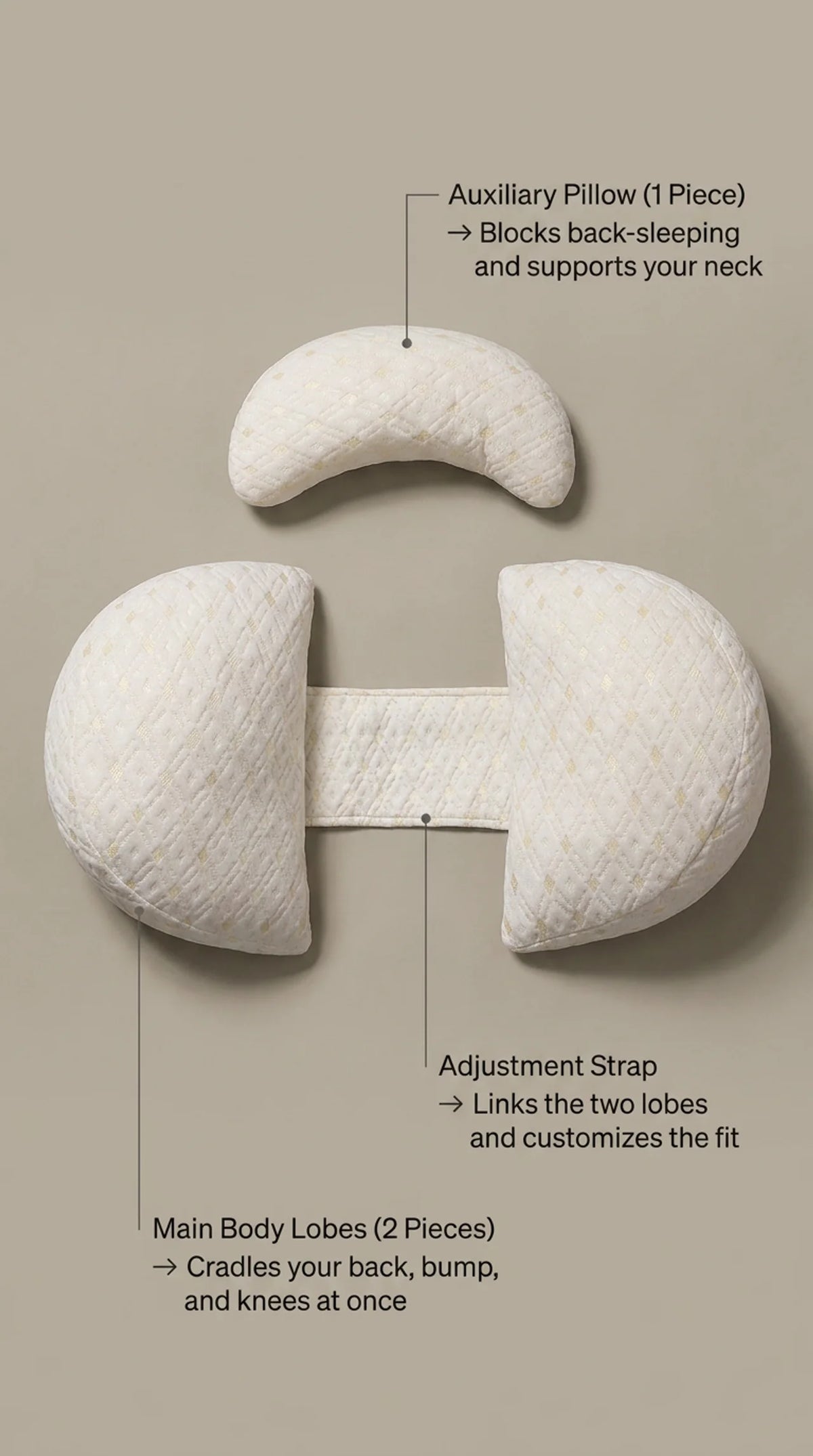 Nightbloom Compacted U-Shaped Pillow