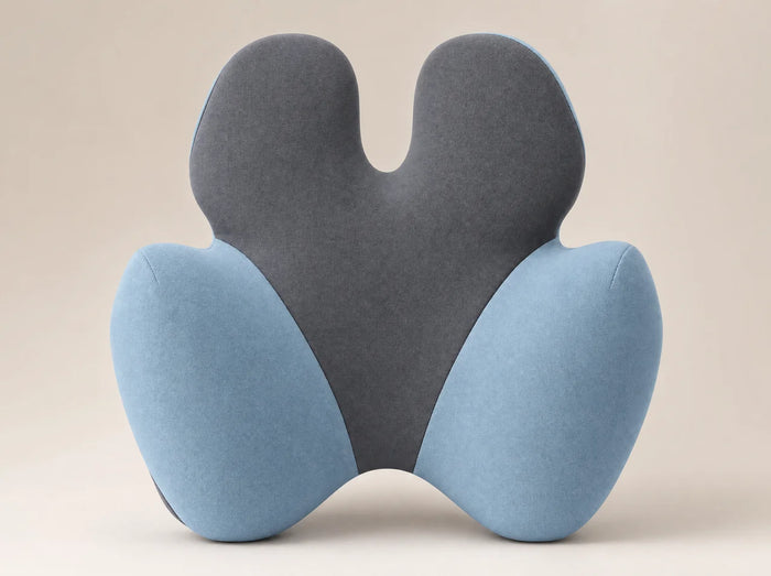 Lumbar Pillow